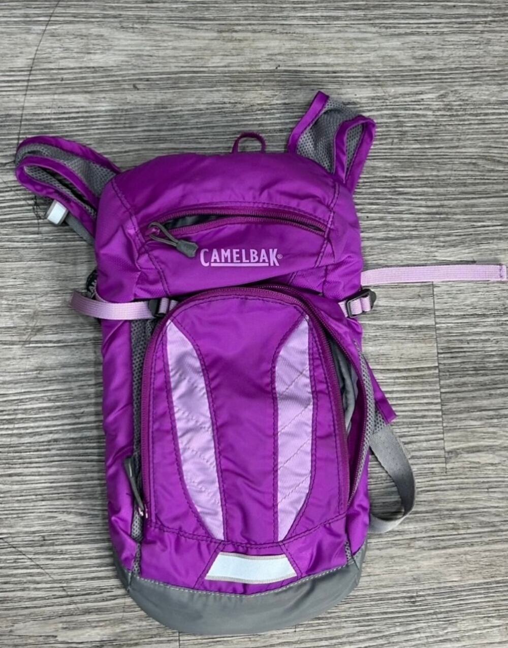 CamelBak Purple Hydration Backpack Daypack Hiking Cycling Running Bag